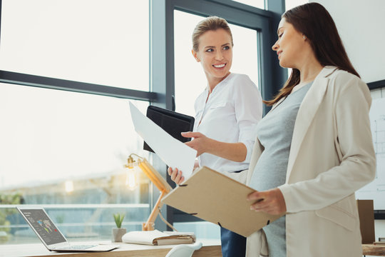 Studying documents. Clever attentive pregnant secretary holding an important document while showing it to a cheerful smart employer