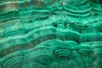 Pattern on polished malachite. Green background - obrazy, fototapety, plakaty