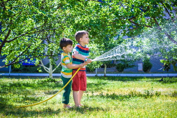 boys having fun with watering fruit garden in village outdoors.
