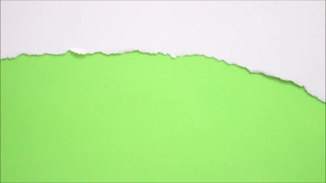 Tearing white paper into torn green screen background