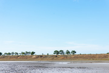 dried up pink salt lake, saline