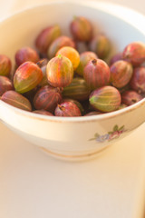 gooseberry - tasty and ripe berries (harvest). food background