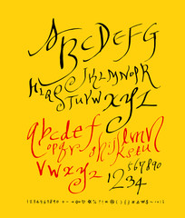 벡터 문자 / 손으로 쓴 글씨체