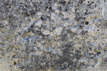 Texture of a surface of an old stone. Stone background with splashes of moss and mold