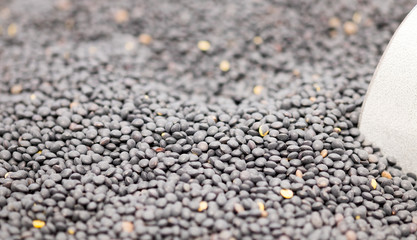 Macroshot of Black lentils, sale on local city market