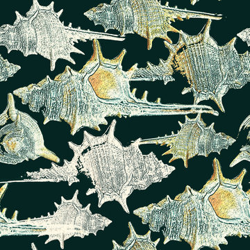 Collage, vintage, beautiful background with seashells  in grunge style. Perfect for  print on fabric, wrapping paper etc.