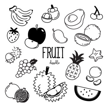 Fruit Doodle. Hand drawing styles fruit item