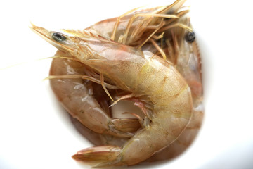 gamba fresca