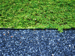 Full Frame Background of High Angle View of Green Plants and Gravel Stones