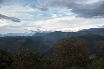 Valle de Cocora, colombia