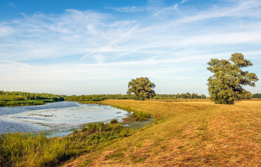 Picturesque image of Dutch National Park De Biesbosch