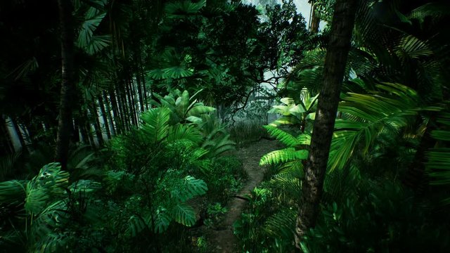 Timelapse view over a beautiful lush green jungle. 4K