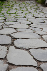 Rome,  view and details of the archaeological area of the Roman Forums.