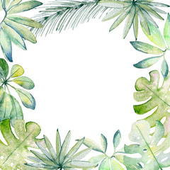 Frame. Watercolor Tropical green leaves on the white background © Tapilipa