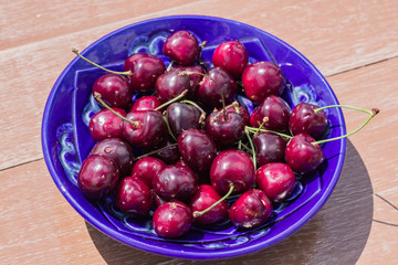 blue plate of ripe sweet cherry on  wooden table