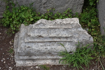 Rome,  view and details of the archaeological area of the Roman Forums