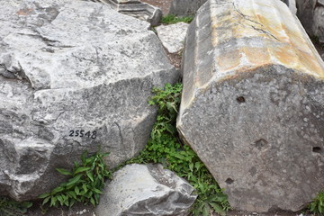 Rome,  view and details of the archaeological area of the Roman Forums