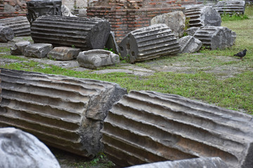 Rome,  view and details of the archaeological area of the Roman Forums