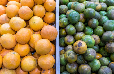 Compare two type of orange in super market