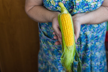 corn   Close up - ripe ears of corn grain (harvest). food background