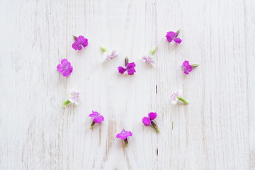Chamaenerion flowers on white wooden background