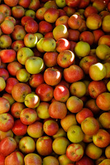 Red Apples