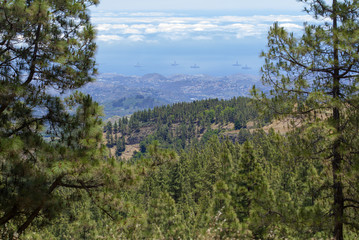 Fototapeta premium Gran Canaria landscape 