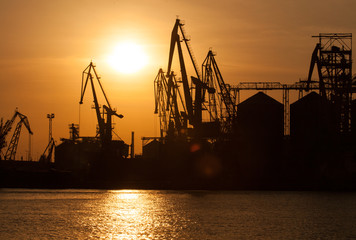 Obraz premium sea cranes in the back light in the evening against the backdrop of the sea and the setting sun in the seaport