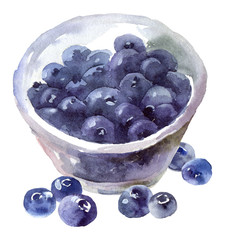 Watercolor blueberry still life