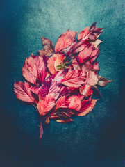 Red autumn leaves composing on dark vintage background, top view