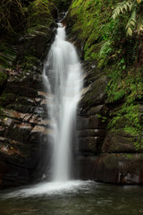 Fototapeta na wymiar Waterfall in the jungle, colombia