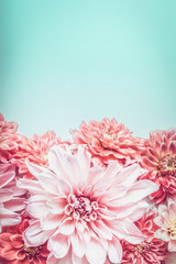Pastel pink color flowers on turquoise background, top view. Floral border