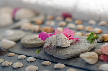 Exotic summer decoration of a sea elements and detail. Marine concept.