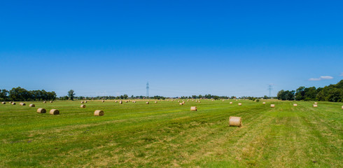 Heuernte verarbeitet zu Rundballen auf einem Feld