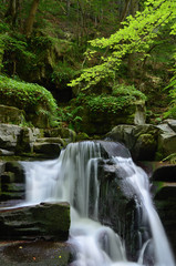 Fototapeta na wymiar Fairy Forest waterfall in spring, long exposure. Rhodope mountain, Bulgaria