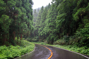 Road curves through beautiful green mountain forest on rainy day