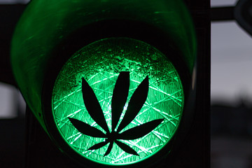 Green light for cannabis or marijuana legalization