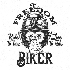 T-shirt or poster design with hand drawn monkey face