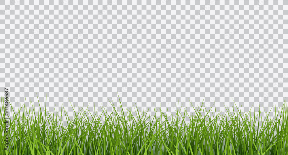 Wall mural vector bright green realistic seamless grass border isolated on transparent background