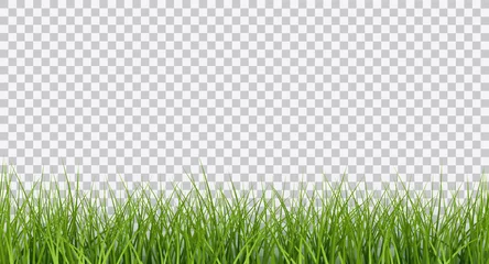 Fotobehang Vector helder groene realistische naadloze gras grens geïsoleerd op transparante background © Kateina