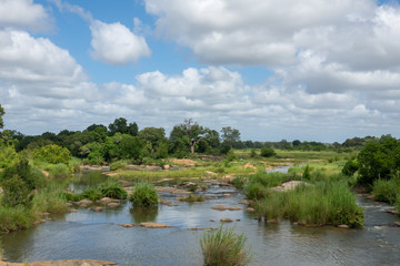 Fototapeta na wymiar Flusslandschaft in einem Nationalpark in Südafrika