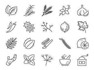 Spices and herbs icon set. Included icons as basil, thyme, ginger, pepper, parsley, mint and more.