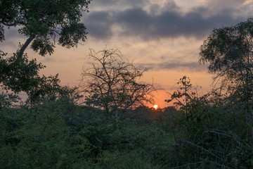Sonnenuntergang im Busch in Südafrika