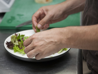 The hands of the chef preparing a salad of greens