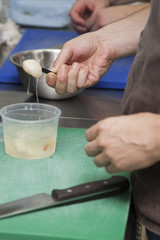 Cooks preparing a salad of seafood