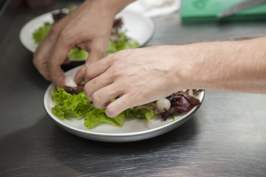 The hands of the chef preparing a salad of greens