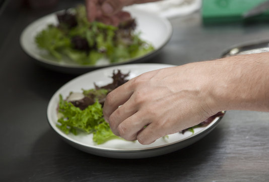 The hands of the chef preparing a salad of greens
