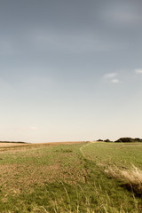 Weitblick auf dem Feld