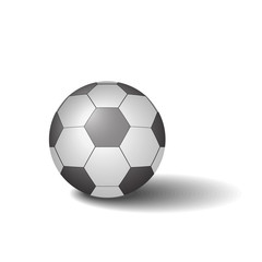 Fototapeta premium Football ball vector illustration. 