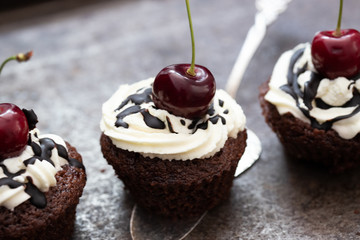 Schwarzwälder Torte mit frischen Kirschen und Sahne